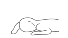 たおれてる人