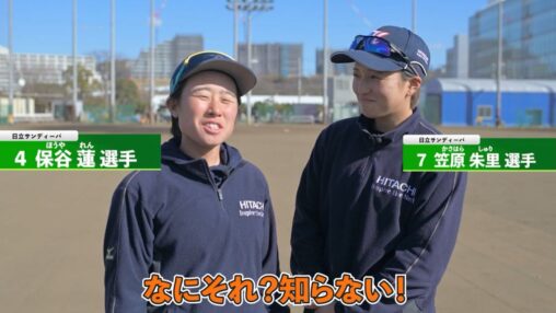 日立サンディーバ